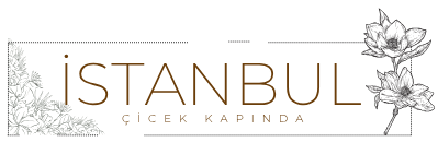İstanbul Çicek Kapında